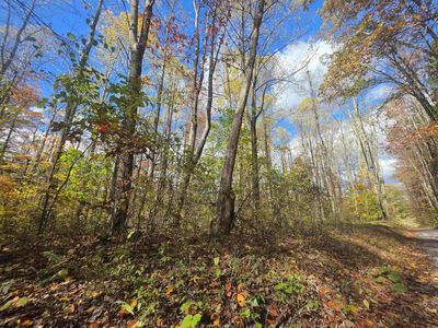 Campground Rd, Tunnelton, WV, 26444
