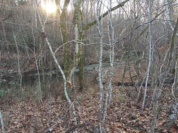 5th image of 0 Bear Creek Pike