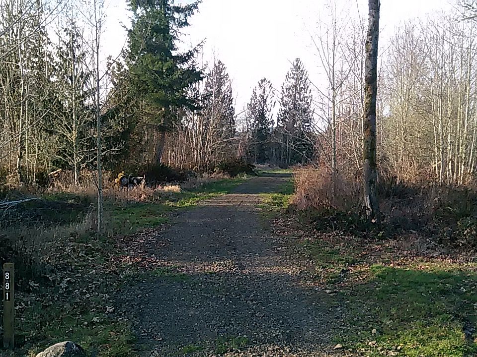 New Driveway