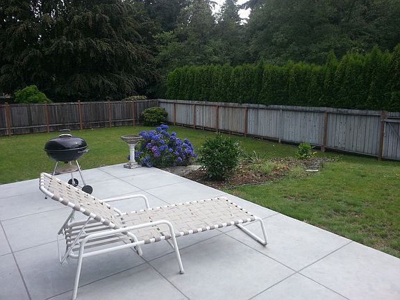 Back Yard and Patio