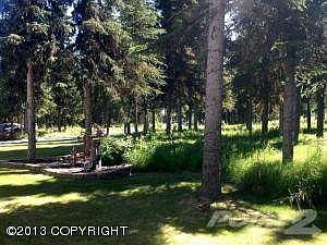 IMG_1568 (640x480)