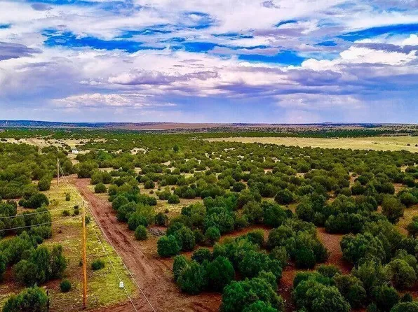 County Rd N, Vernon, AZ 85940