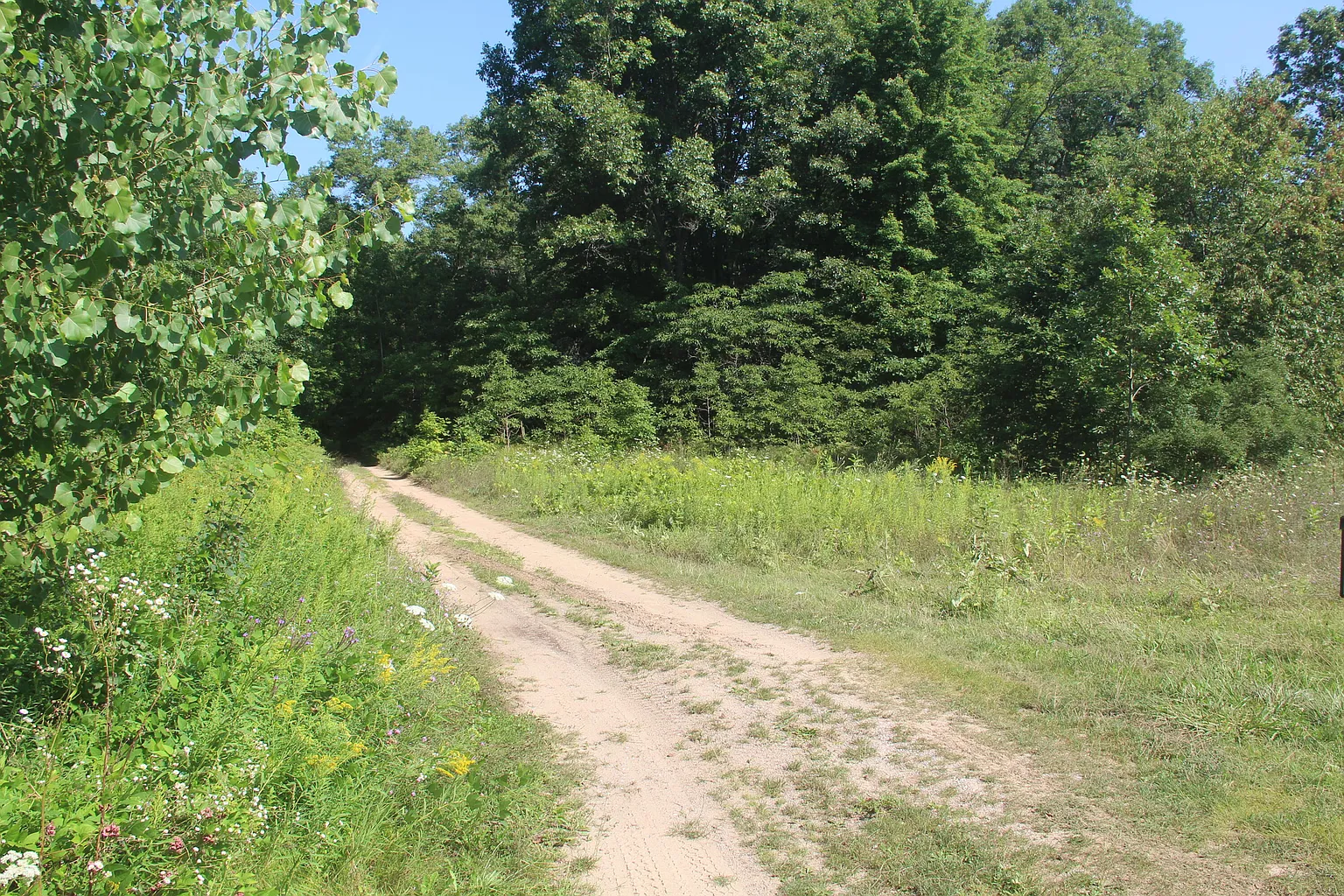 Austin Rd photo 1