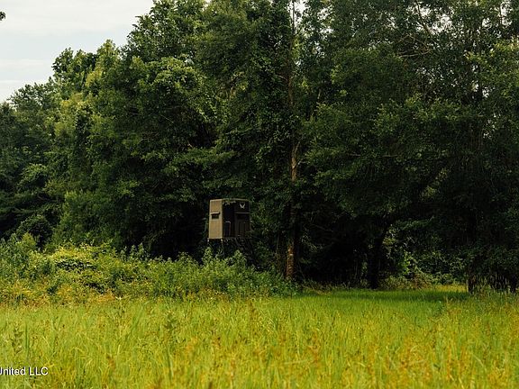 30th image of this home