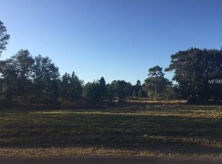 8630 Spring Forest Ln, Wesley Chapel, FL 33544