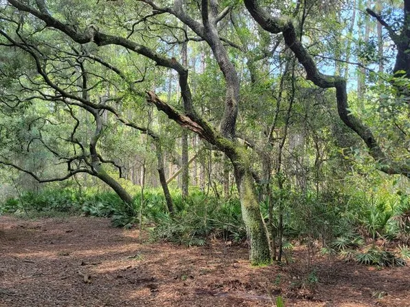 9 NE 127th St #9, Fort Mc Coy, FL 32134