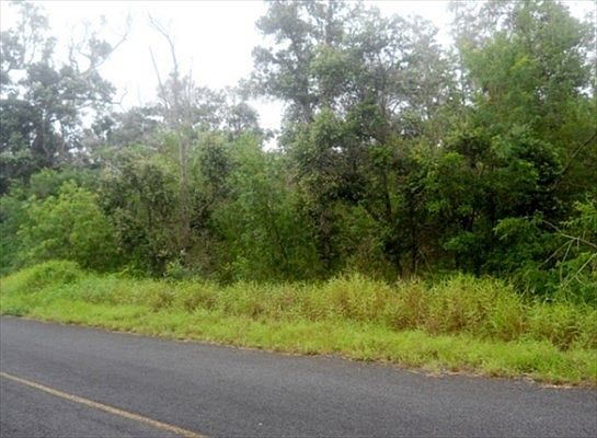 4th image of Orchid Pkwy Lot 21