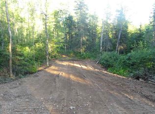 Xxx Skogvei Rd, Duluth, MN 55803