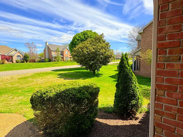 View from the front porch