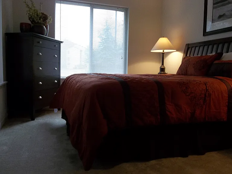 La Triumphe Apartments — Photo 15