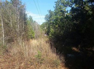 91 Goosby Rd, Willis, TX 77378