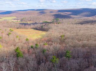 169 Vivian Ln, Catawissa, PA