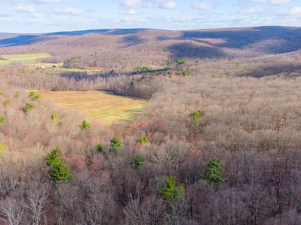 169 Vivian Ln, Catawissa, PA 17820