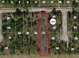 1142 W Riley Dr, Citrus Springs, FL 34434