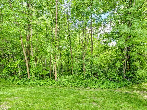 4th image of 550 Deer Path Ln