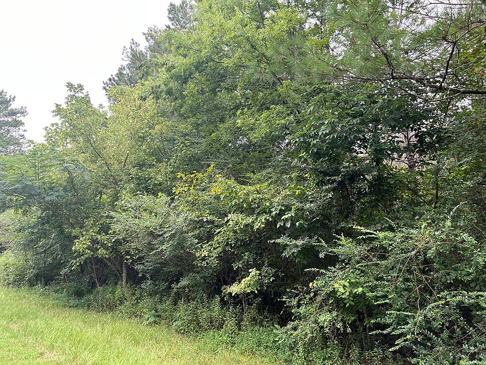 2nd image of 0 Kirk Rd NW
