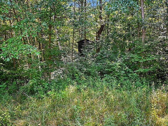 5th image of 0 N Geneva Rd