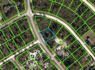 1163 Wildflower St, Lake Placid, FL 33852