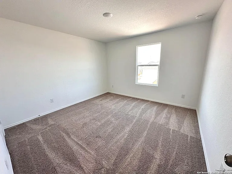 9263 Honey Mesquite — Photo 9
