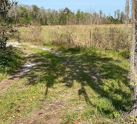 2nd image of 2928 Robin Hood Ln