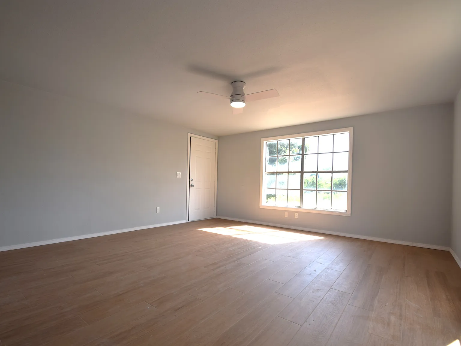 1 bed, 736 sqft, $1,000 — Photo 4