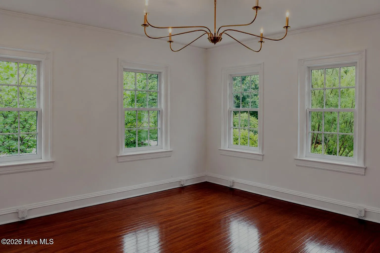 1 bed, 1.0 bath, $1,300 — Photo 2