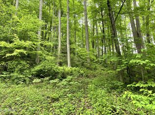 TRACT 2 Ingram Branch Rd, Roan Mountain, TN 37687