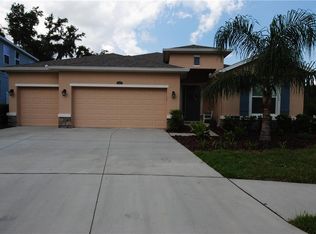10425 Riverdale Rise Dr, Riverview, FL 33578