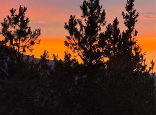 446 Mt Massive Drive LOT 76, Twin Lakes, CO 81251