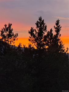 446 Mt Massive Drive LOT 76, Twin Lakes, CO, 81251