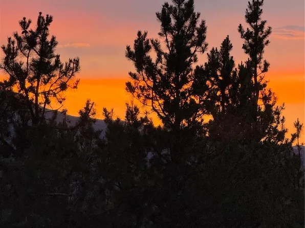 446 Mt Massive Drive LOT 76, Twin Lakes, CO 81251