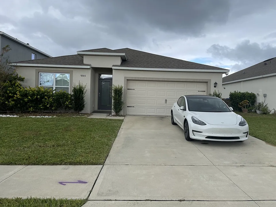 Tuscan Cypress St