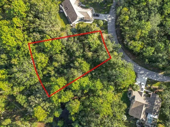 18 DOUGLAS COURT S LOT 17, HOMOSASSA, FL 34446