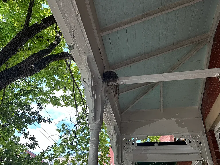 105 S Pine St — Photo 56