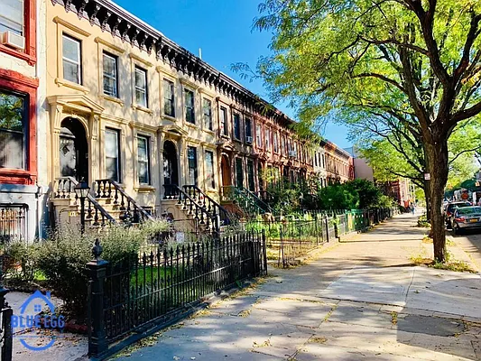 Rented by Blue Egg Realty Corp | media 25