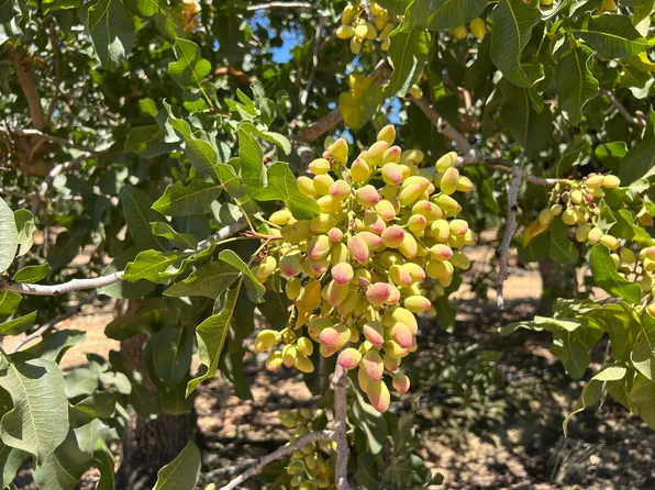 Road 27, Madera, CA 93638