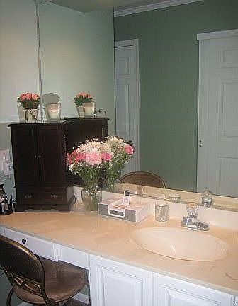 Powder Room area-master