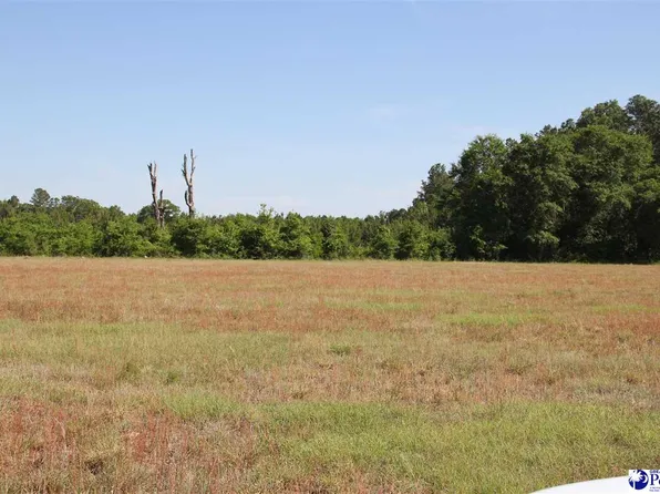 Gallowaytown Rd, Hartsville, SC 29550