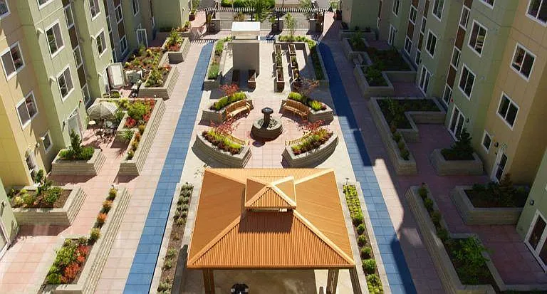 Celebration Senior Living Apartments — Photo 4