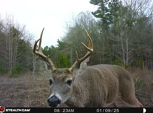 Athens Church Rd, Hallsville, TX 75650