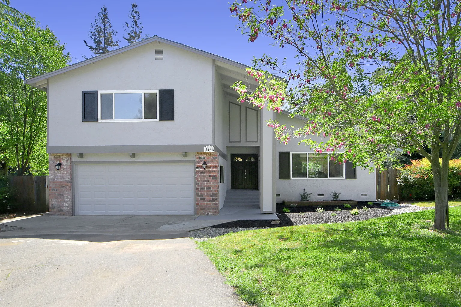 3194 Salida Way photo 1