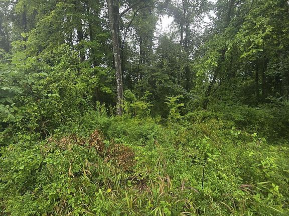 3rd image of 98/99 Aborland Road