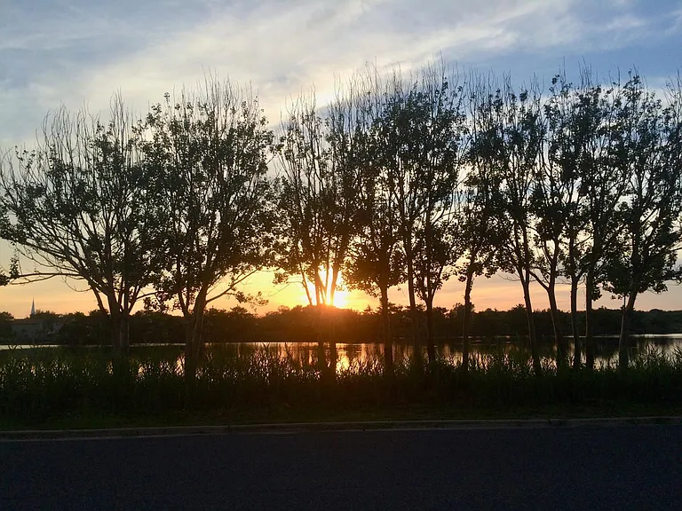 sunset view from lawn