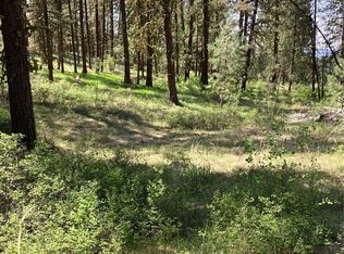 LOT 19 Doe Ln, Tonasket, WA 98855
