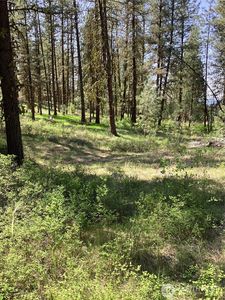 19 Lot, Doe Lane, Tonasket, WA, 98855