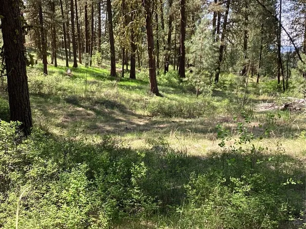 19 Lot, Doe Lane, Tonasket, WA 98855