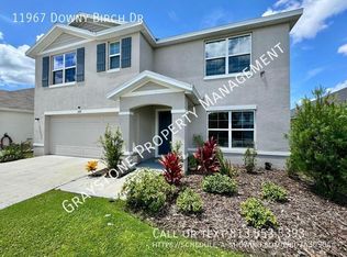 11967 Downy Birch Dr, Riverview, FL 33569