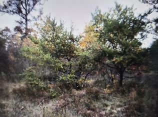 LOT 25 Northwood Dr, Grayling, MI