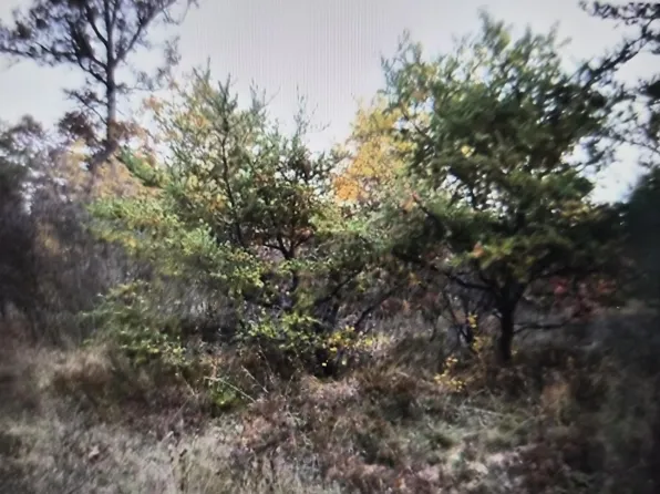 LOT 25 Northwood Dr, Grayling, MI 49738
