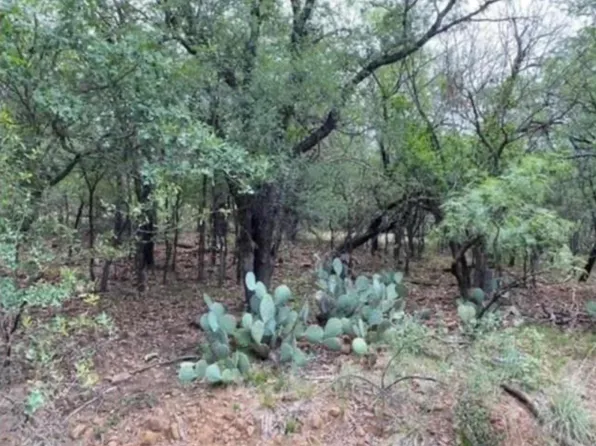 0 NE 8th Ave, Mineral Wells, TX 76067